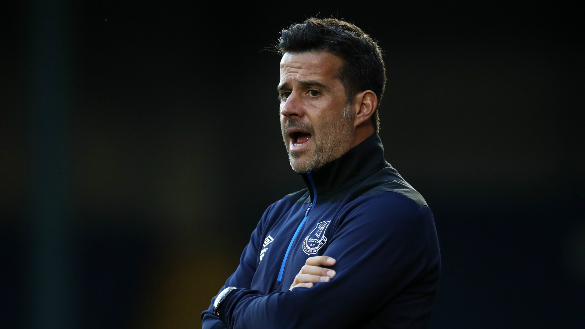 而美洲狮若 而美洲狮若